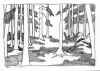 lichter Wald